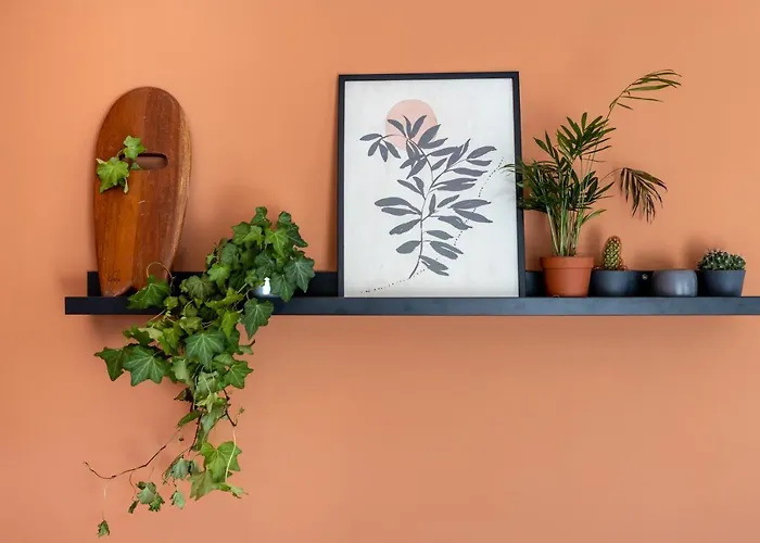 Casa Da Amoreira Dom wakacyjny